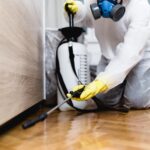Dedetização Eliminamos baratas, formigas, mosquitos e outros insetos com métodos seguros e eficazes, garantindo um ambiente saudável para sua casa ou empresa.